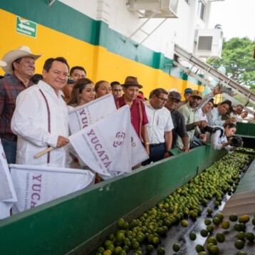 Impulsan al campo yucateco con energía limpia, fertilizantes y apoyo a citricultores