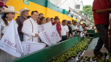 Impulso a la producción de limón y naranja