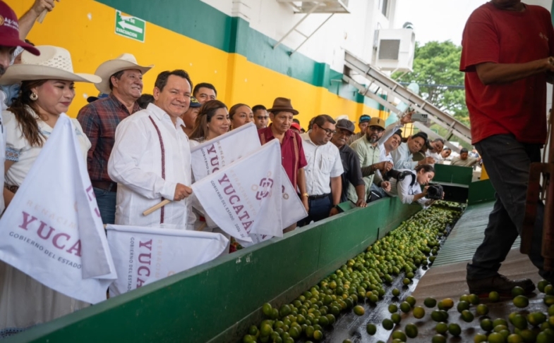 Impulso a la producción de limón y naranja