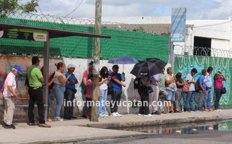 Paro parcial de transporte en Mérida; usuarios pagan los platos rotos