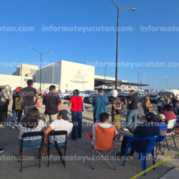 A reventar el módulo del reemplacamiento: largas filas y trámites de última hora en Mérida