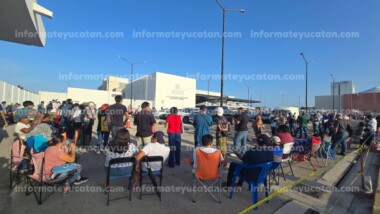 A reventar el módulo del reemplacamiento: largas filas y trámites de última hora en Mérida