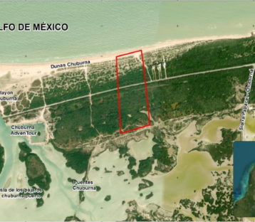Ahora van por las Dunas de Chuburná