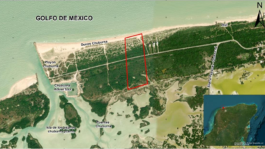 Ahora van por las Dunas de Chuburná