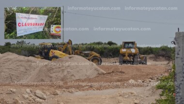 Frenan proyecto inmobiliario en Chuburná tras presión ciudadana