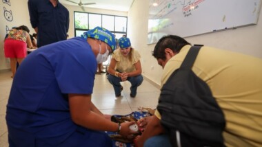 Mérida promueve la tenencia responsable con jornadas de esterilización
